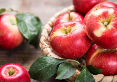 Fresh Apple Fruit