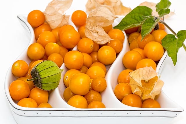 Ground Cherry Powder (Golden Berries)