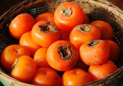 Persimmon Fruit