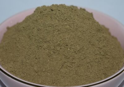 Stonebreaker Herb (Chanca Piedra) Powder