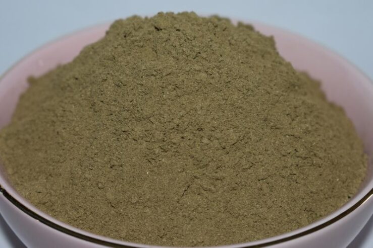 Stonebreaker Herb (Chanca Piedra) Powder